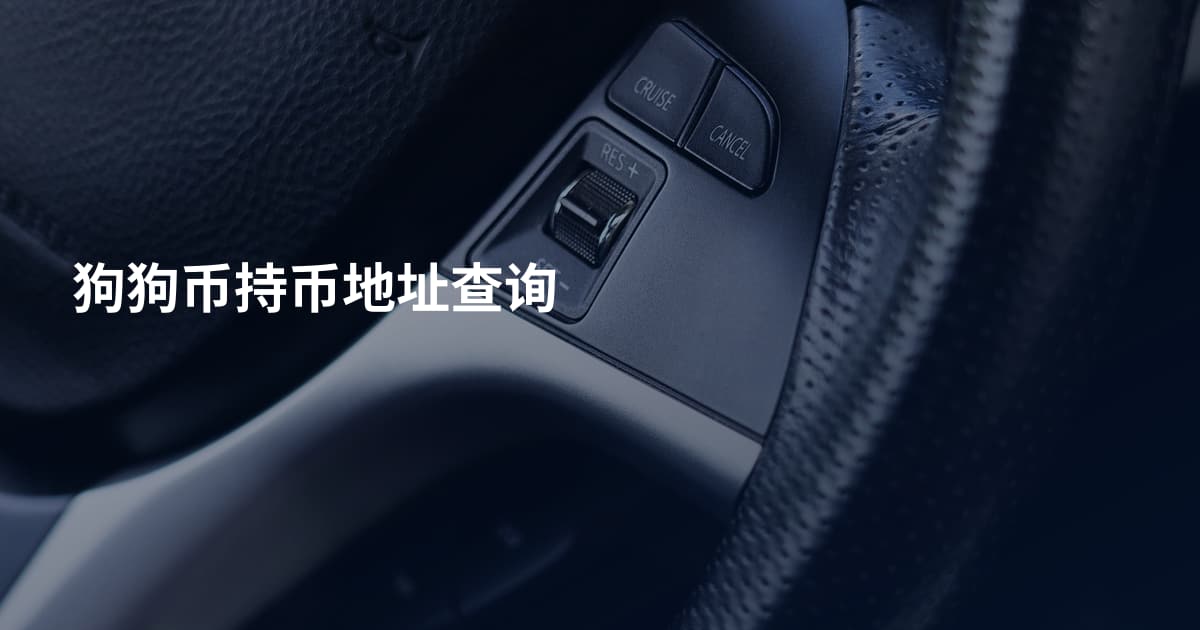 狗狗币持币地址查询