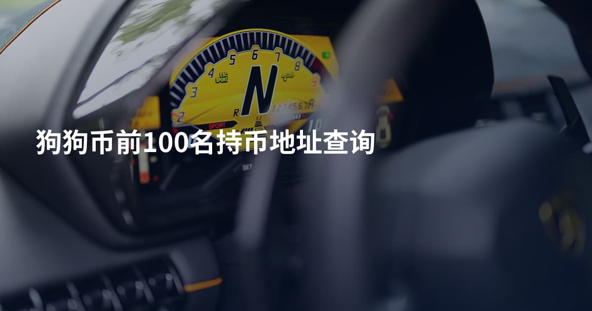 狗狗币前100名持币地址查询