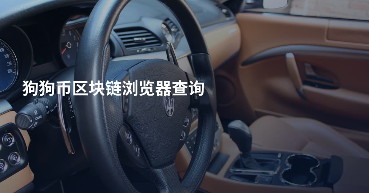 狗狗币区块链浏览器查询
