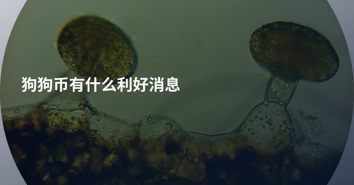 狗狗币有什么利好消息
