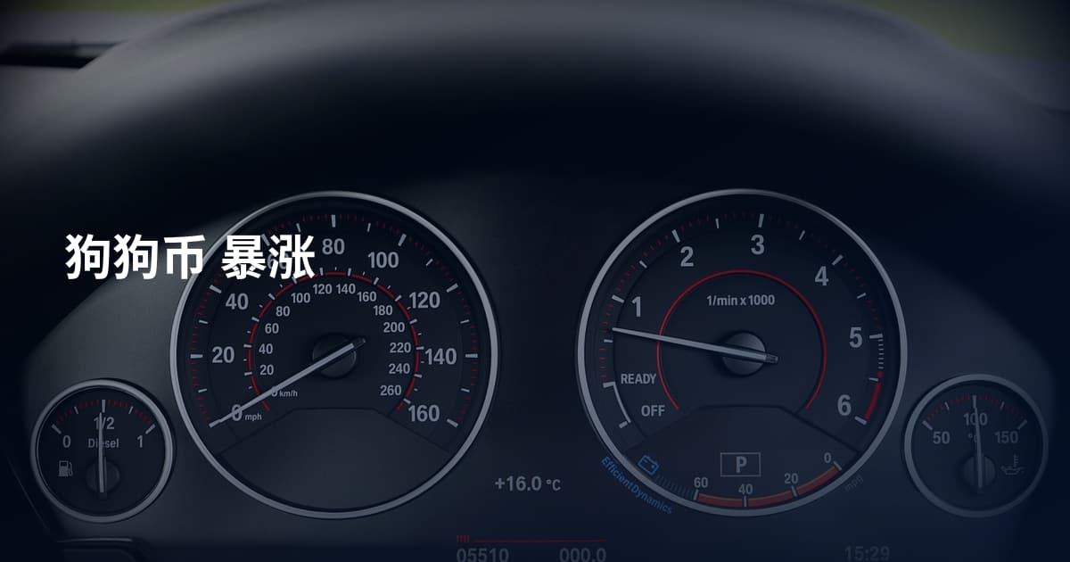 狗狗币 暴涨