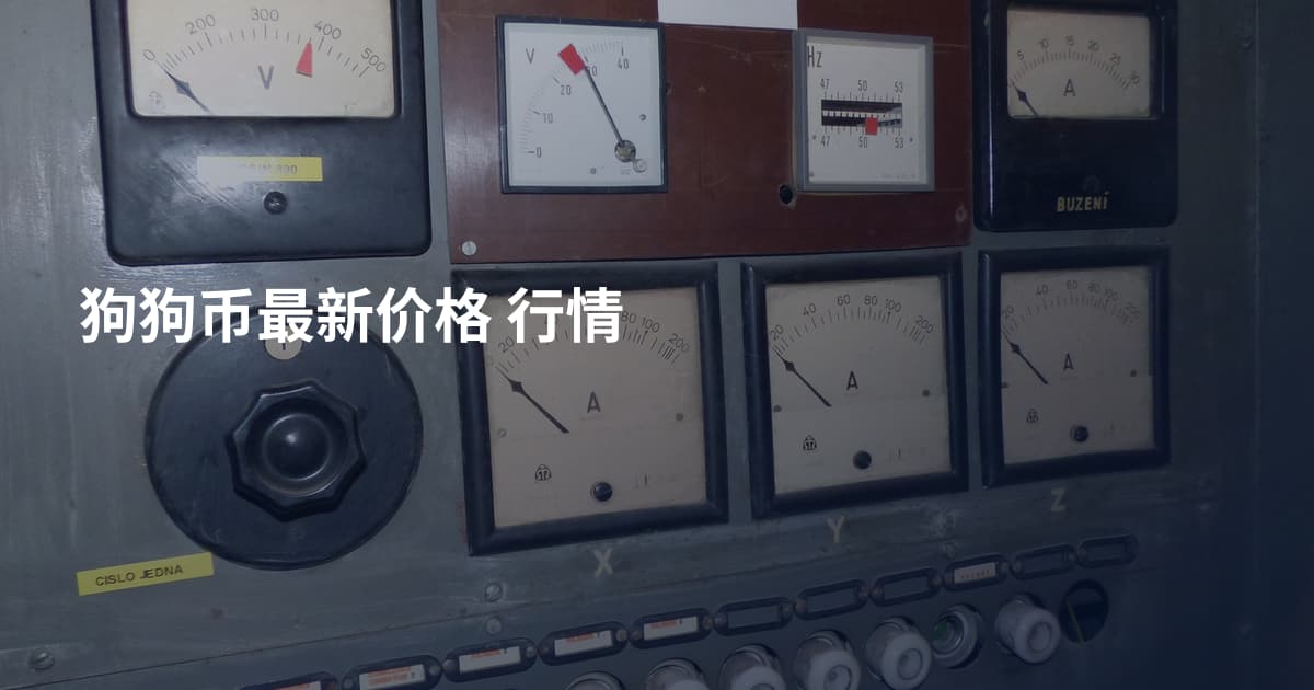 狗狗币最新价格 行情