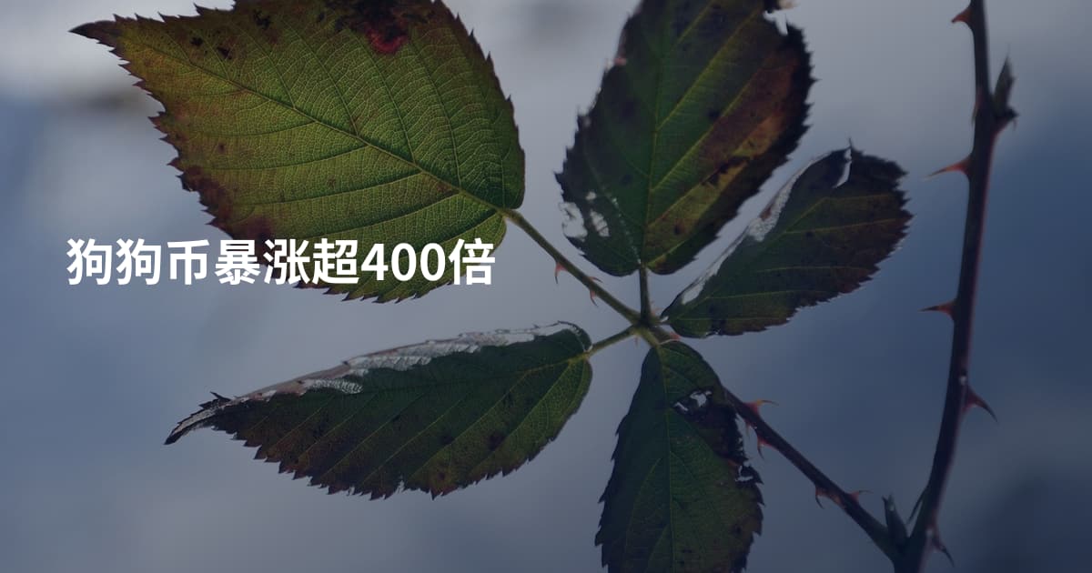 狗狗币暴涨超400倍