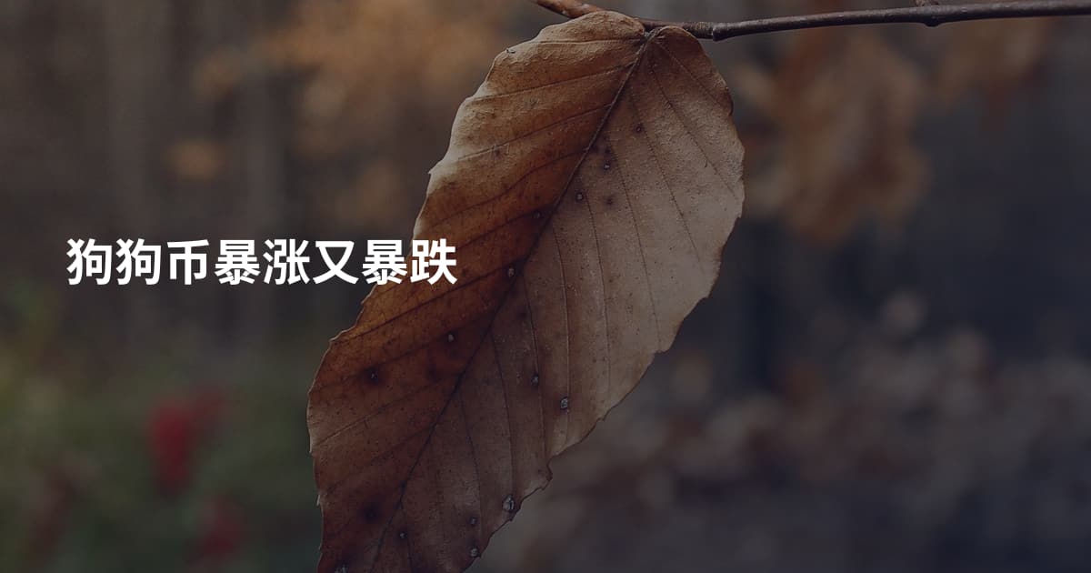 狗狗币暴涨又暴跌