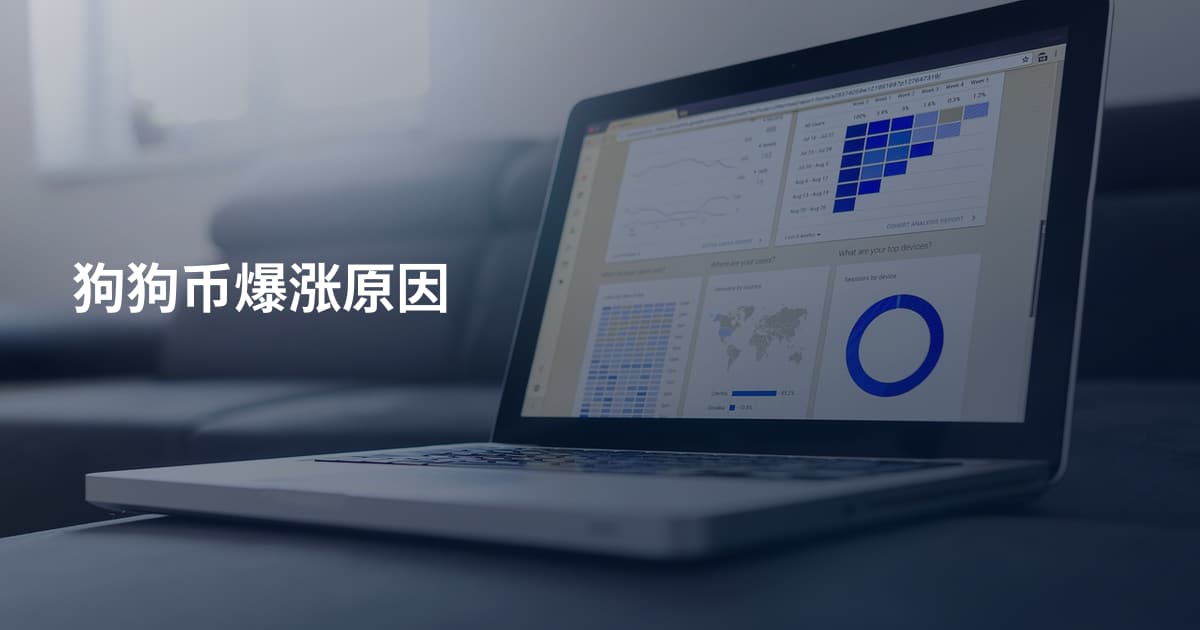 狗狗币爆涨原因