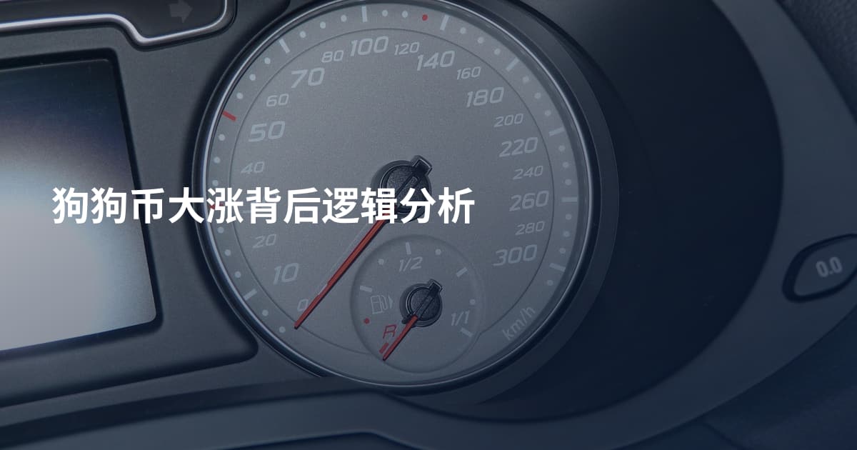 狗狗币大涨背后逻辑分析