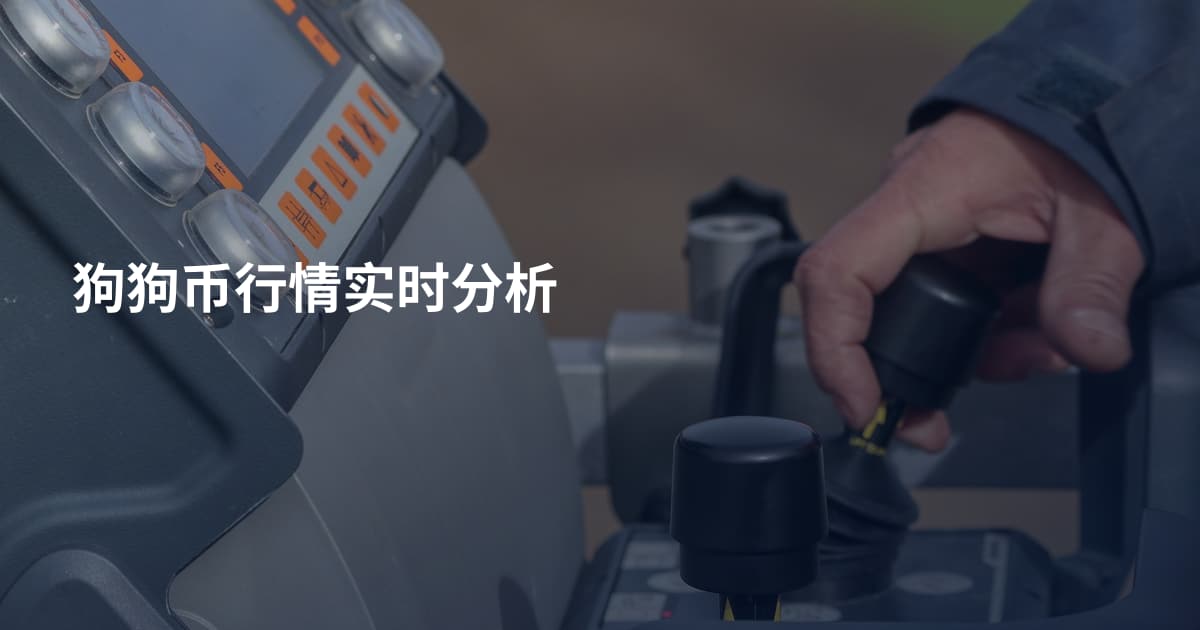 狗狗币行情实时分析