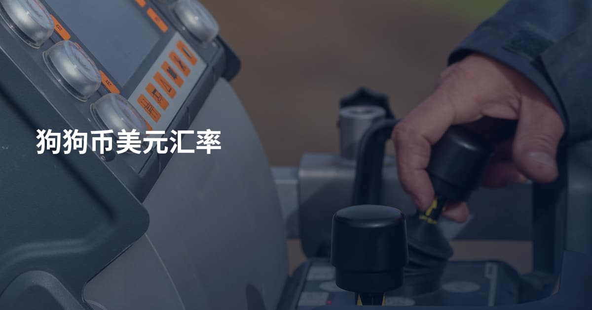 狗狗币美元汇率