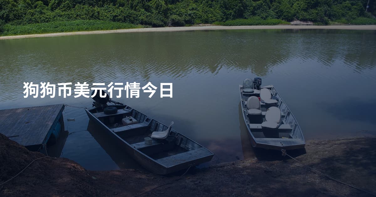 狗狗币美元行情今日