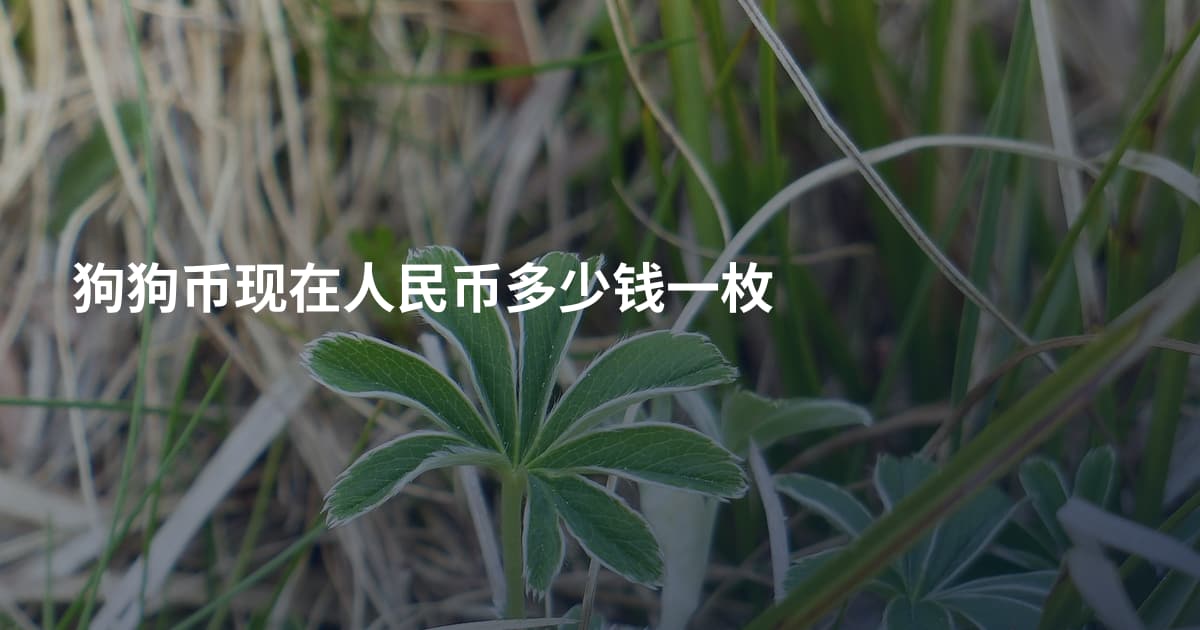 狗狗币现在人民币多少钱一枚