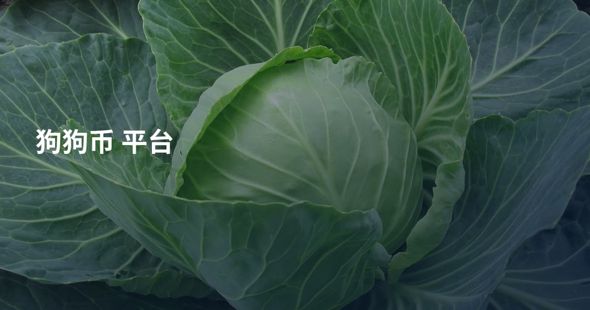 狗狗币 平台