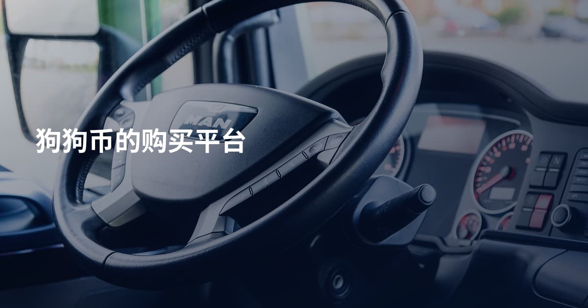 狗狗币的购买平台