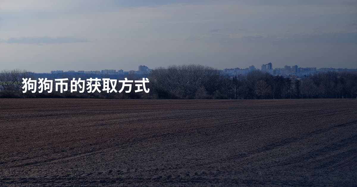 狗狗币的获取方式