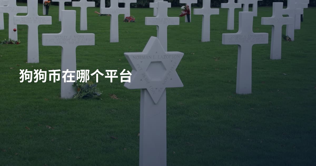 狗狗币在哪个平台