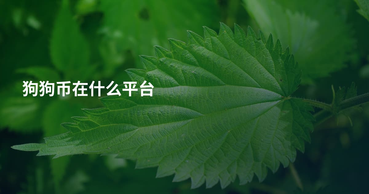 狗狗币在什么平台