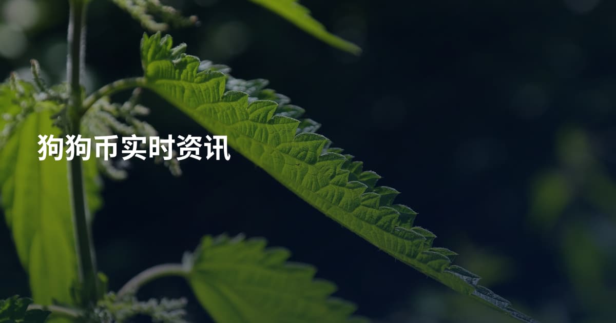 狗狗币实时资讯