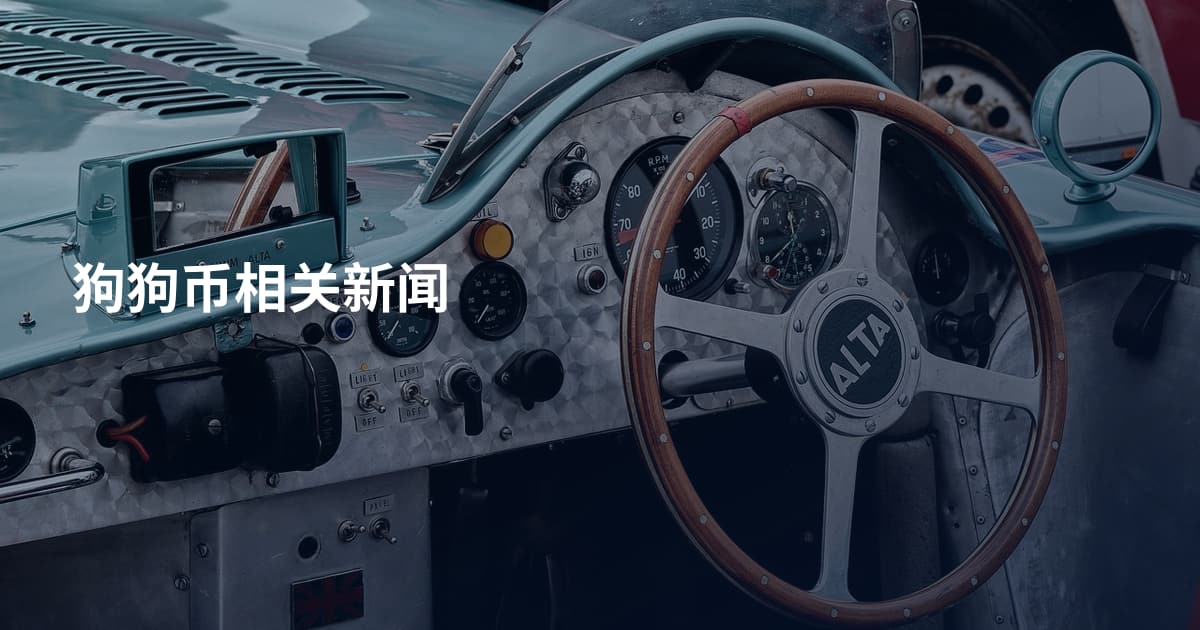 狗狗币相关新闻