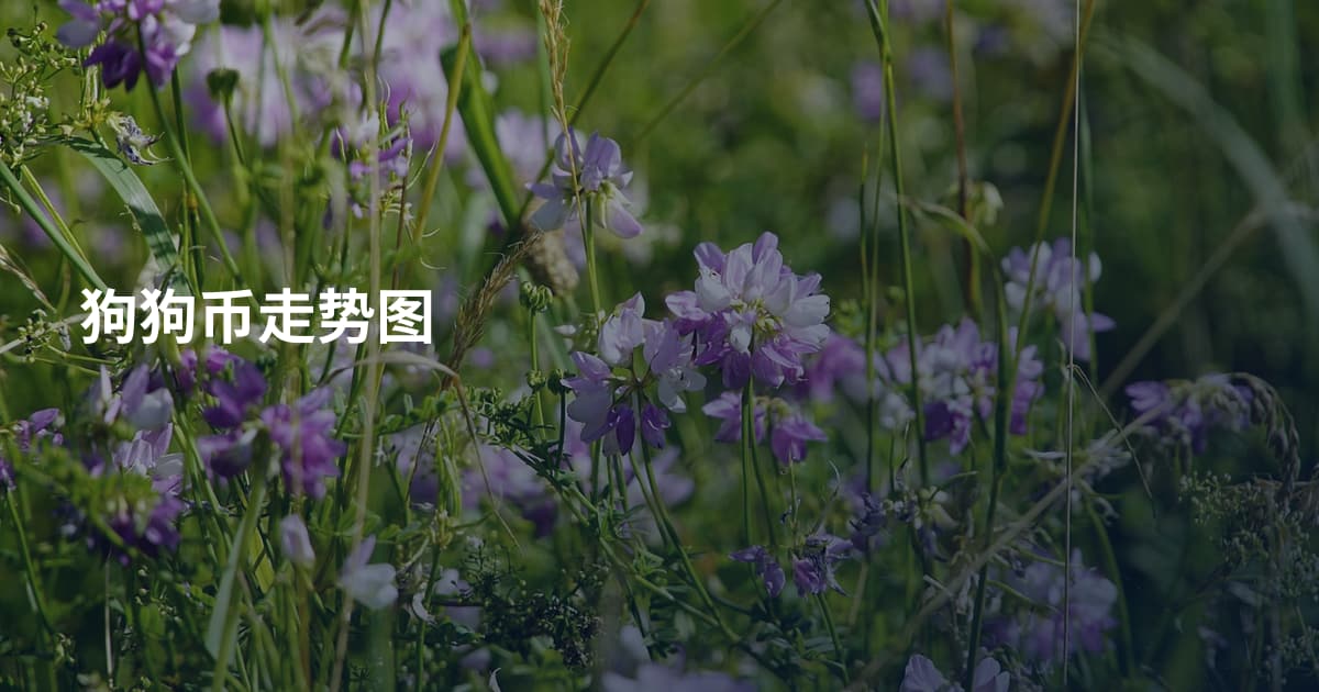 狗狗币走势图