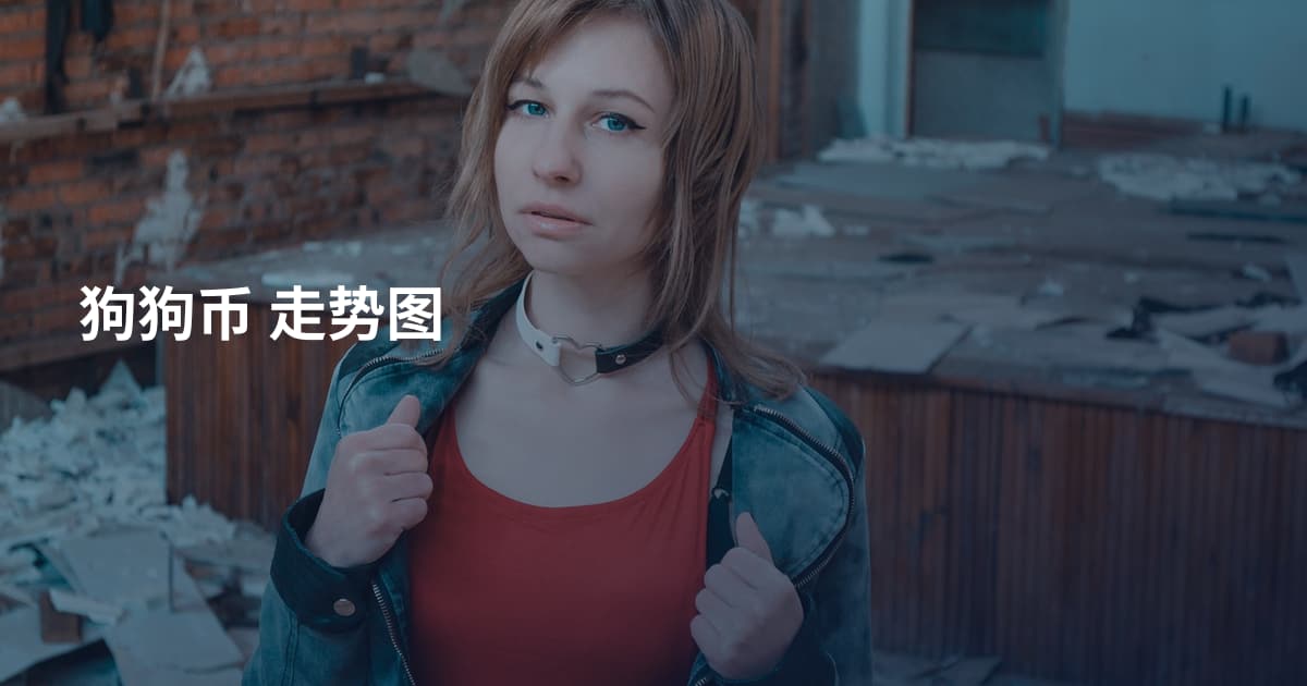 狗狗币 走势图