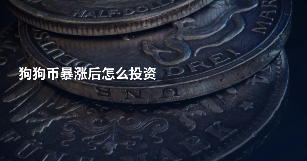 狗狗币暴涨后怎么投资