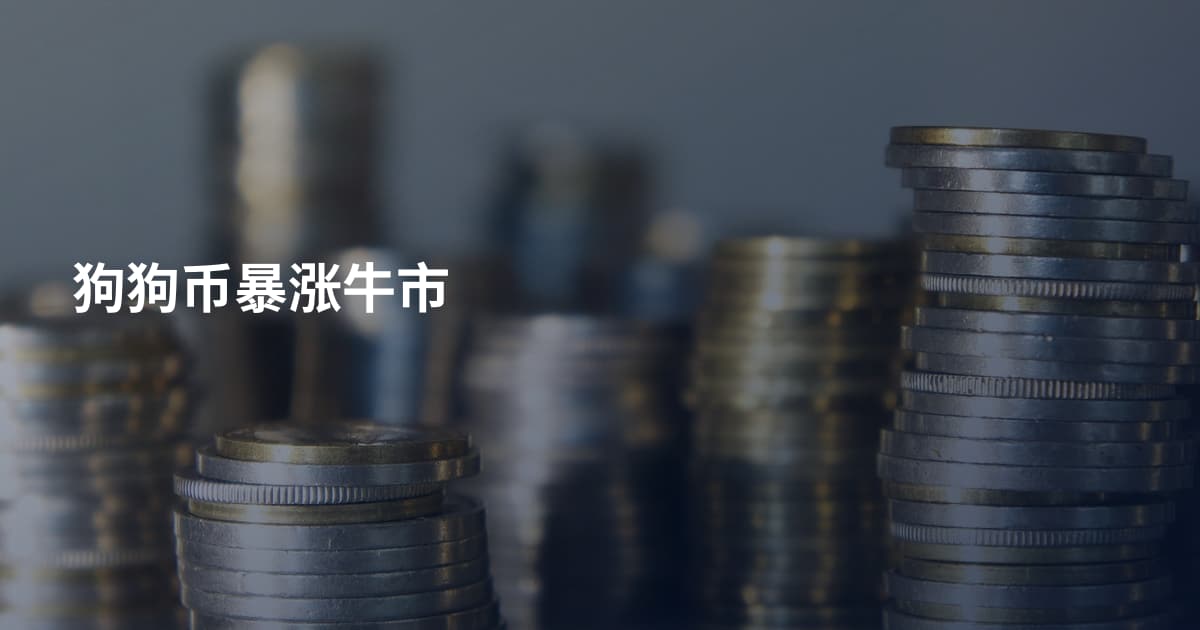 狗狗币暴涨牛市