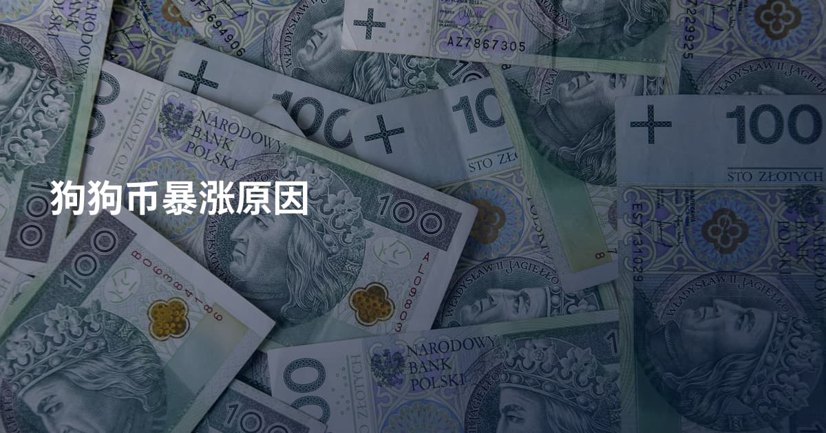 狗狗币暴涨原因