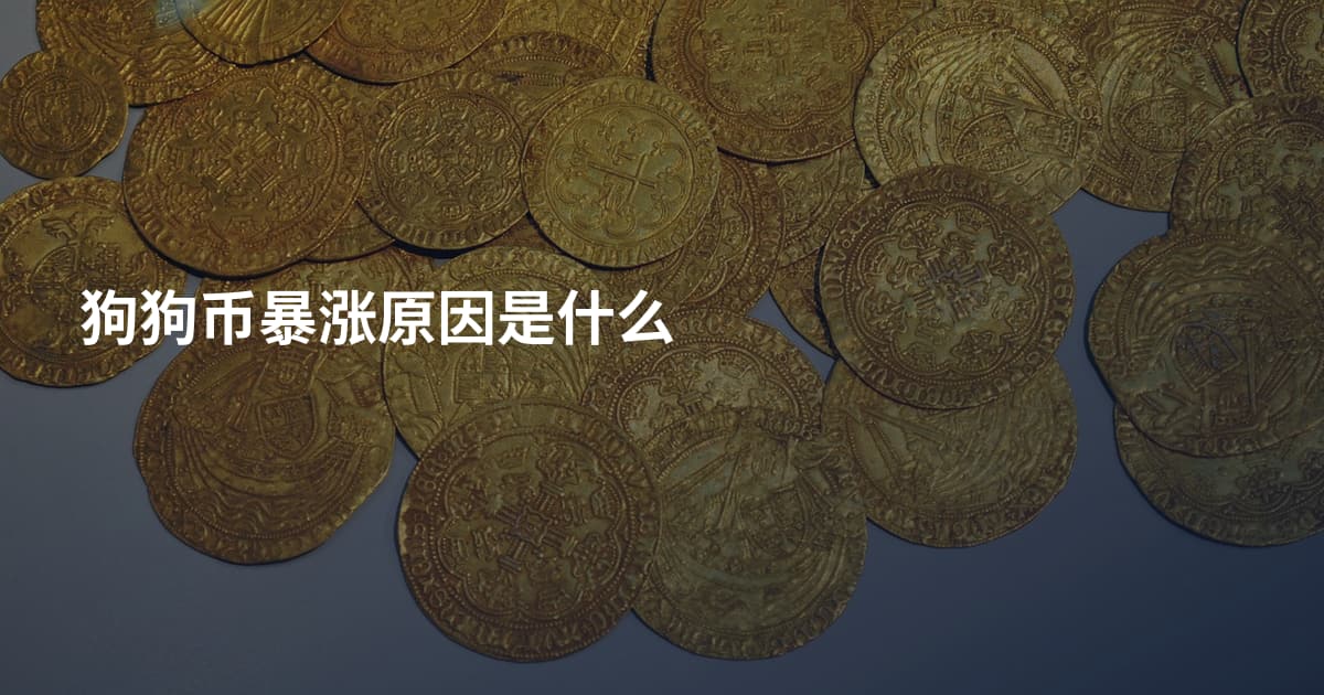 狗狗币暴涨原因是什么