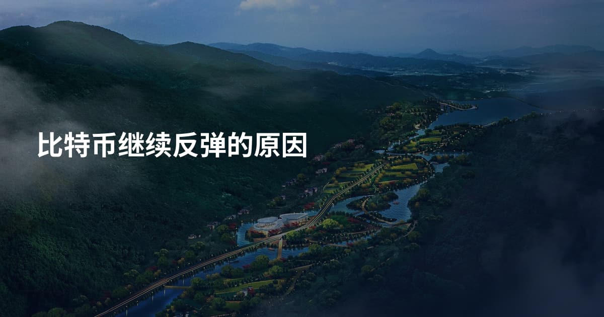 比特币继续反弹的原因