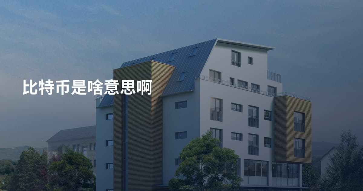 比特币是啥意思啊