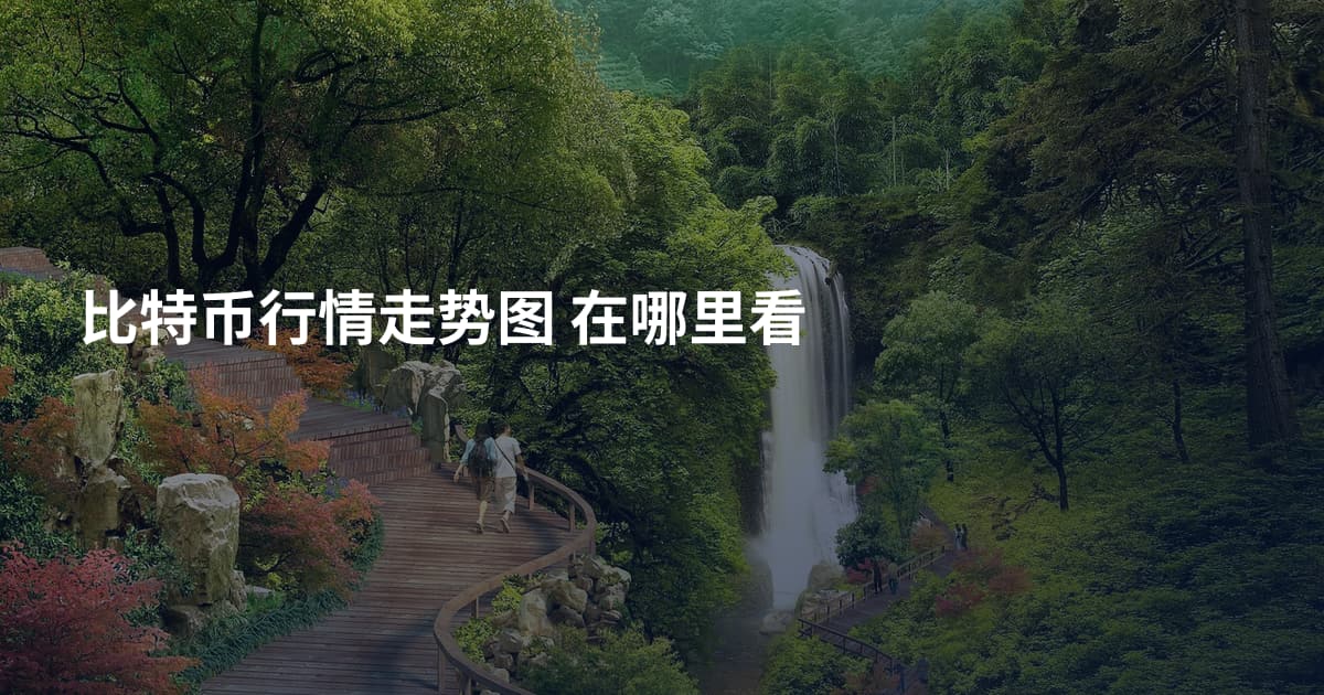 比特币行情走势图 在哪里看