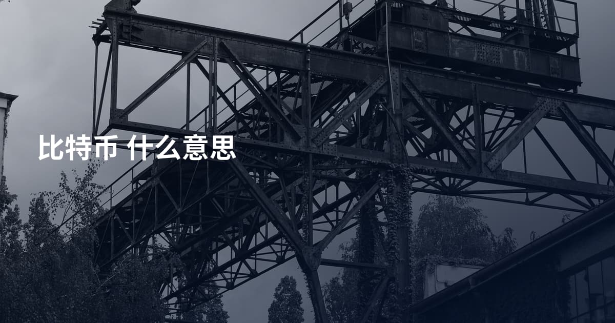 比特币 什么意思