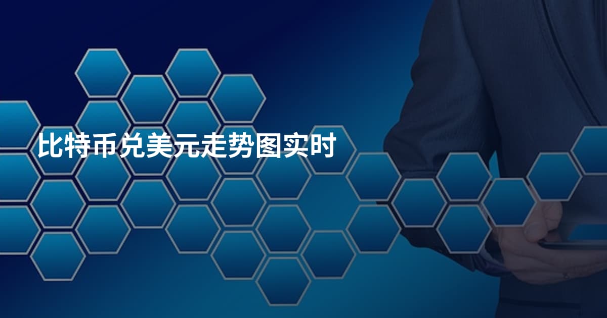 比特币兑美元走势图实时
