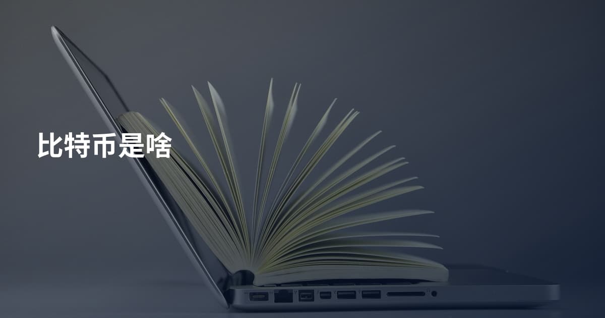 比特币是啥