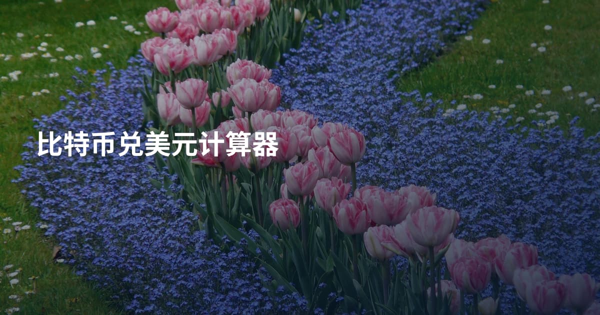 比特币兑美元计算器