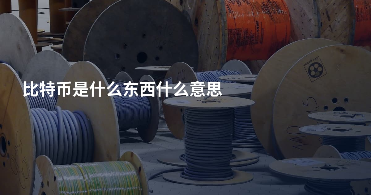 比特币是什么东西什么意思