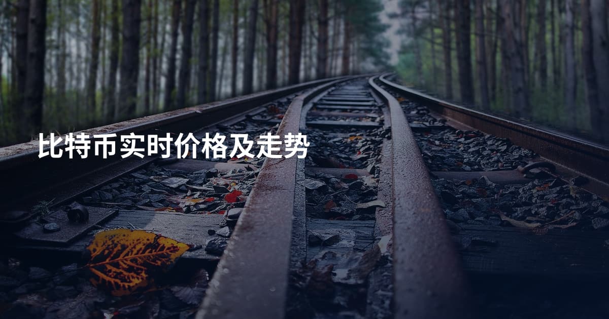 比特币实时价格及走势