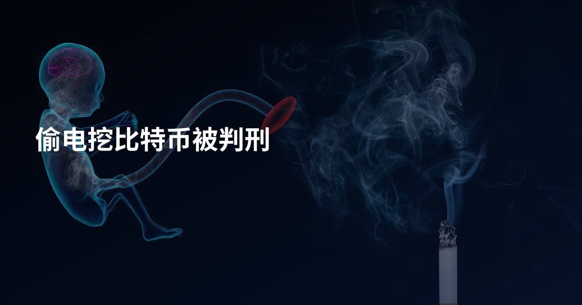 偷电挖比特币被判刑
