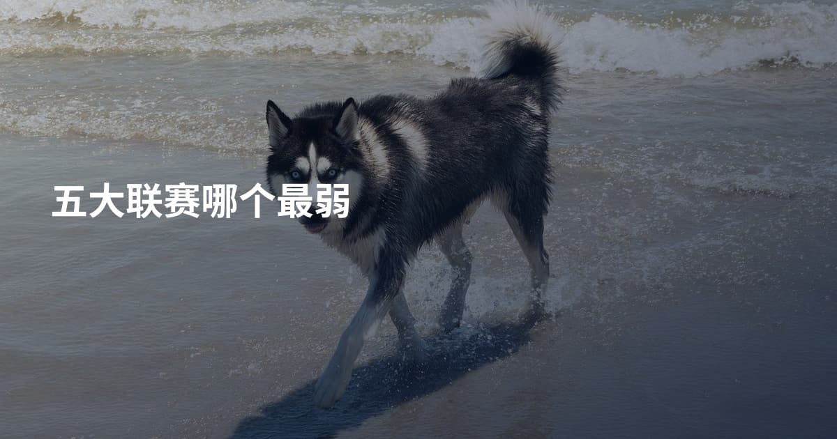 五大联赛哪个最弱