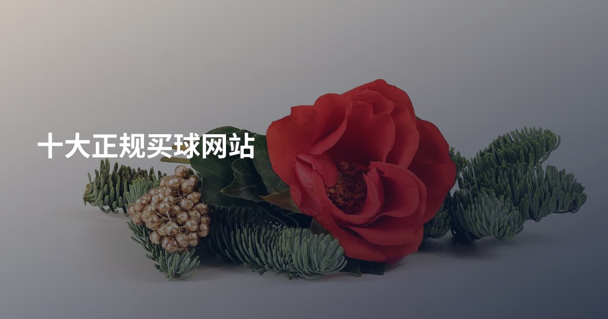 十大正规买球网站