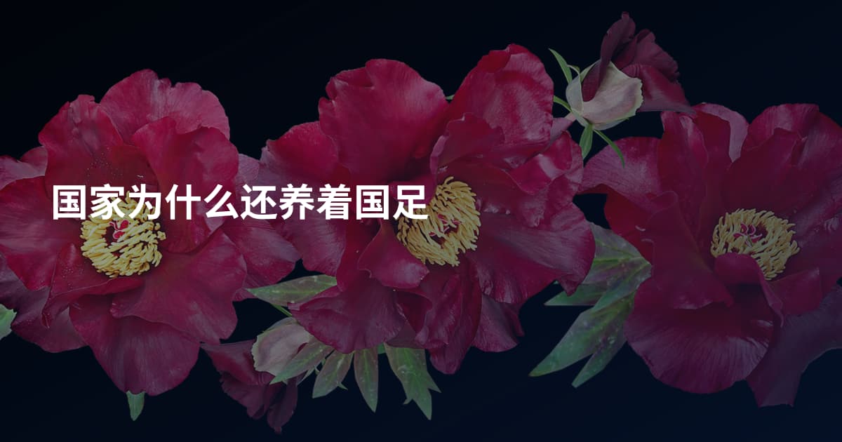 国家为什么还养着国足