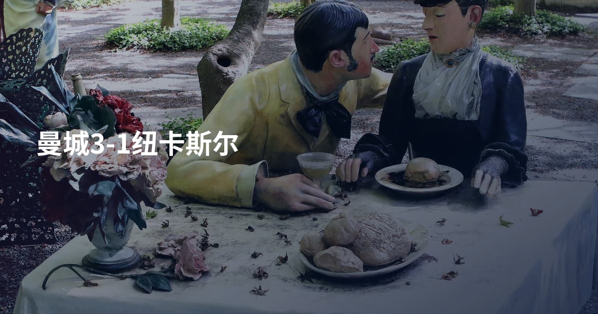 曼城3-1纽卡斯尔