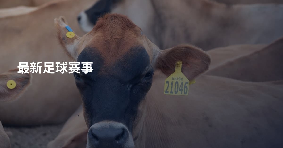 最新足球赛事