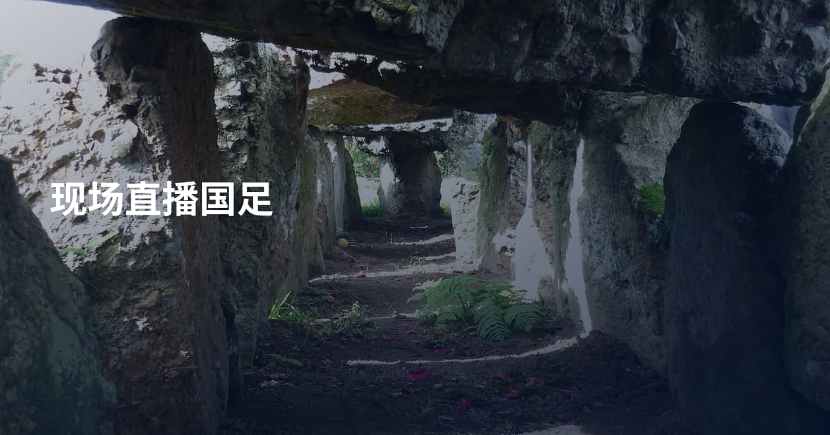 现场直播国足