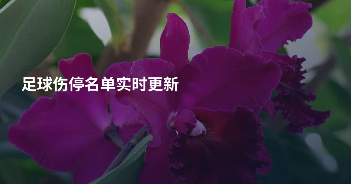 足球伤停名单实时更新
