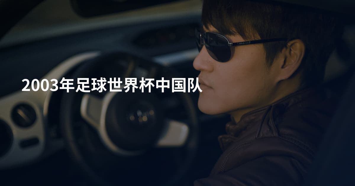 2003年足球世界杯中国队