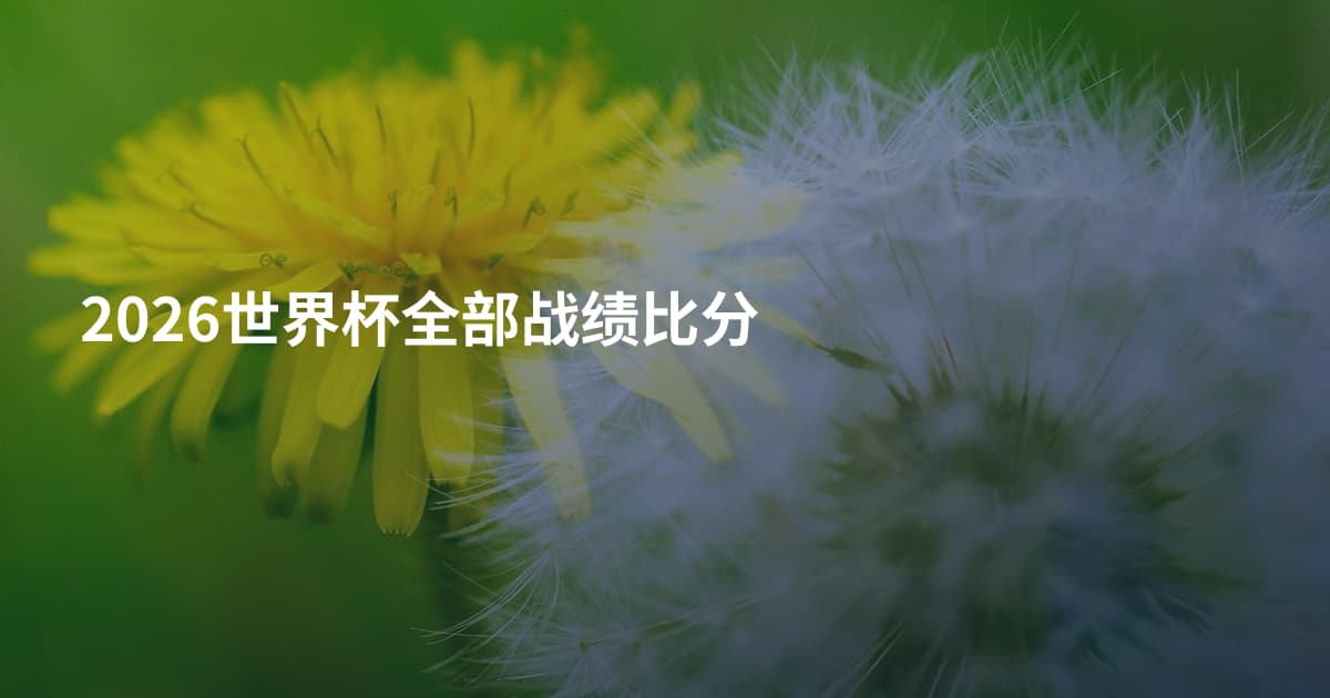 2026世界杯全部战绩比分