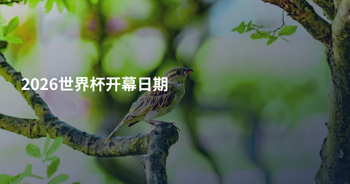 2026世界杯开幕日期