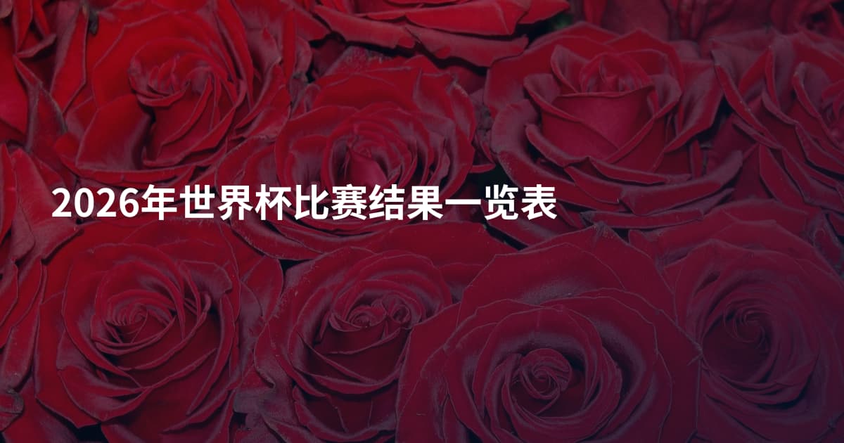 2026年世界杯比赛结果一览表
