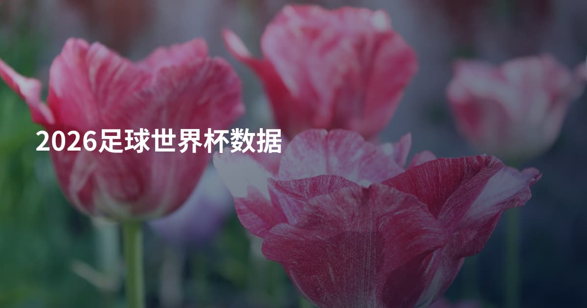 2026足球世界杯数据
