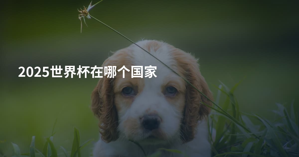 2025世界杯在哪个国家